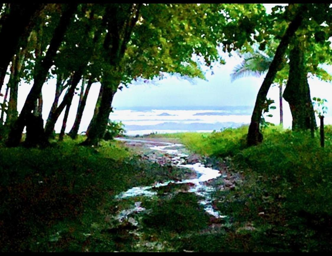 Sunshine Sanctuary Boutique Jungle Lodge Монтесума Екстериор снимка