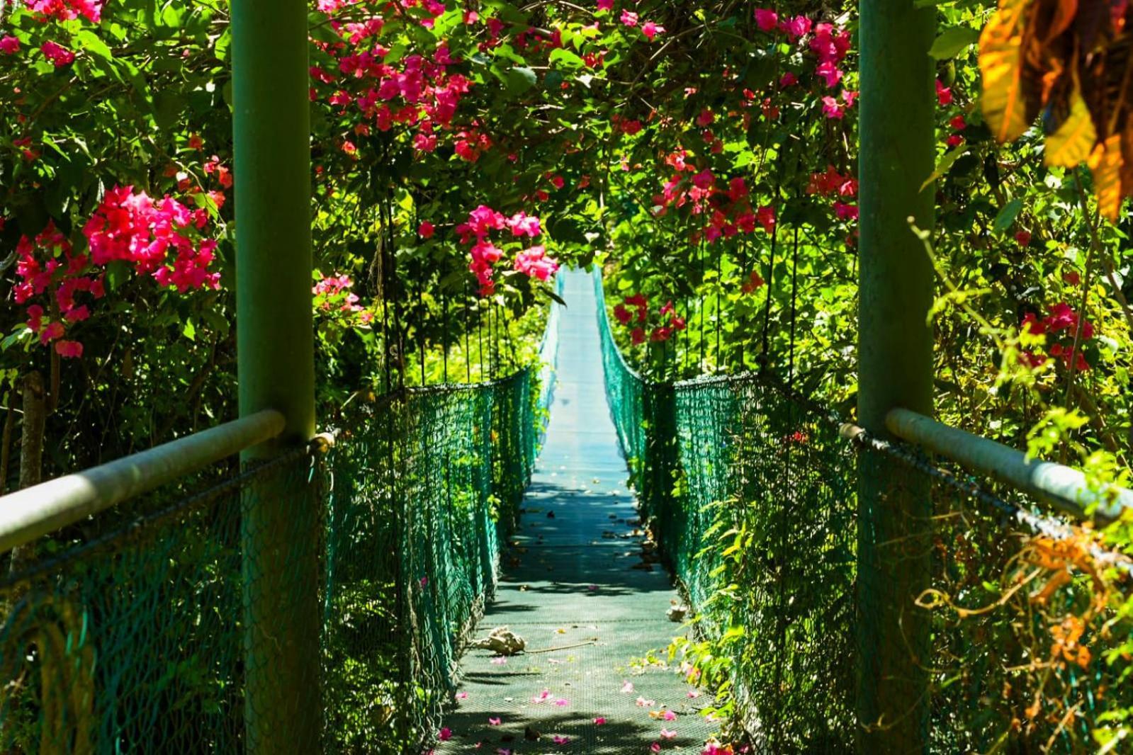 Sunshine Sanctuary Boutique Jungle Lodge Монтесума Екстериор снимка
