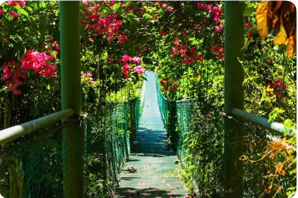 Sunshine Sanctuary Boutique Jungle Lodge Монтесума Екстериор снимка