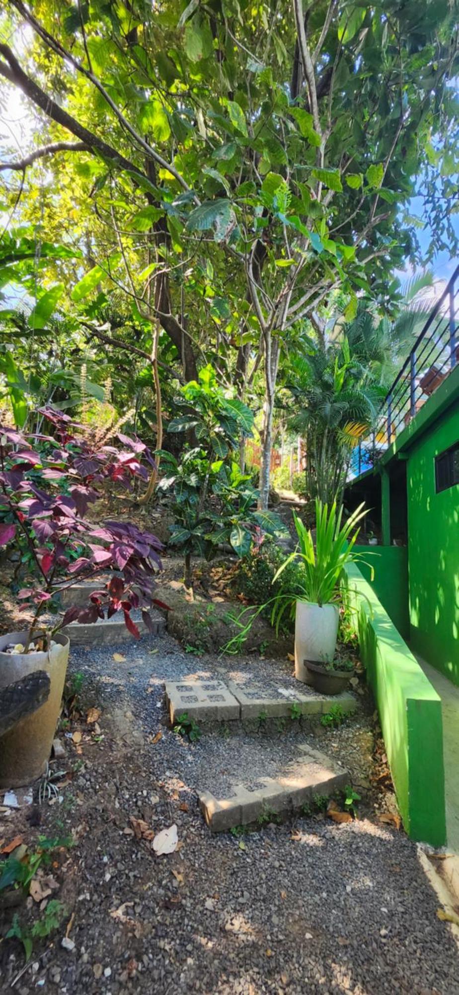 Sunshine Sanctuary Boutique Jungle Lodge Монтесума Екстериор снимка