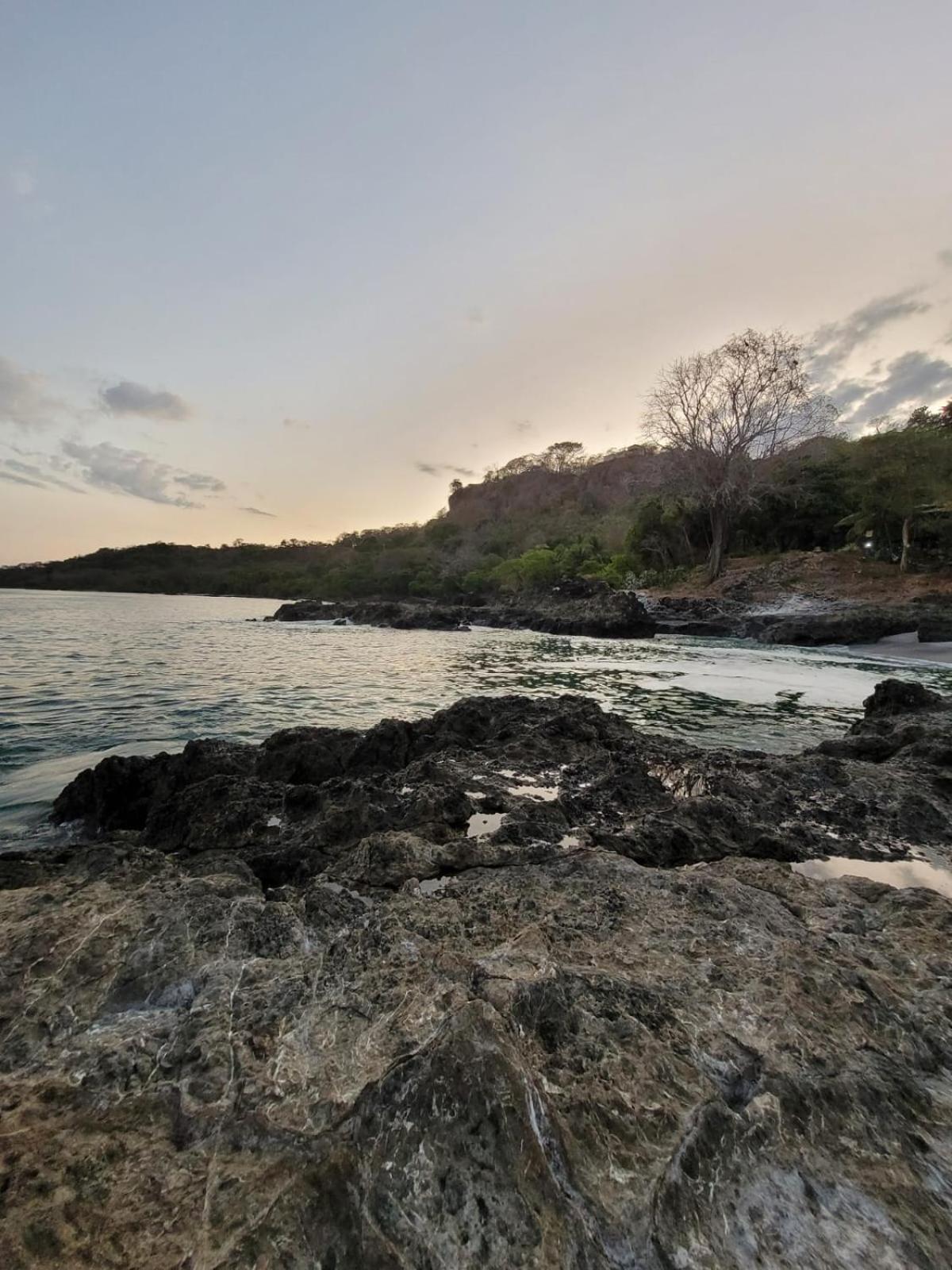 Sunshine Sanctuary Boutique Jungle Lodge Монтесума Екстериор снимка