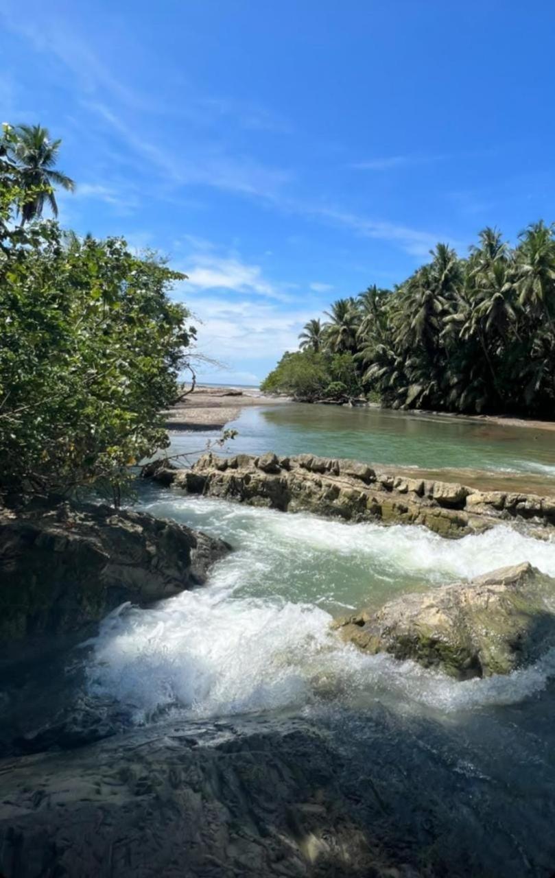 Sunshine Sanctuary Boutique Jungle Lodge Монтесума Екстериор снимка